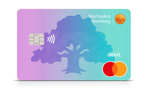Bankkort Mastercard ung laying