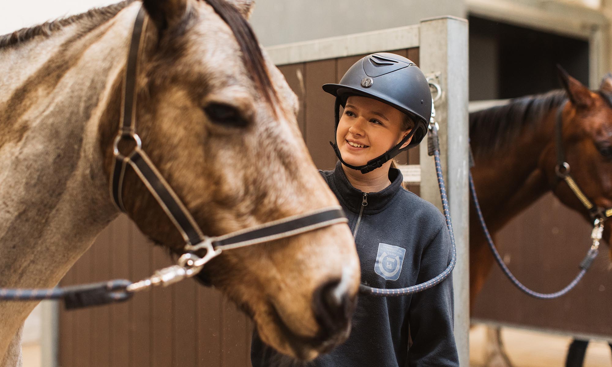 Kvinna och en häst i ett stall