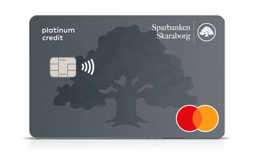 Betal- och kreditkort Mastercard Platinum