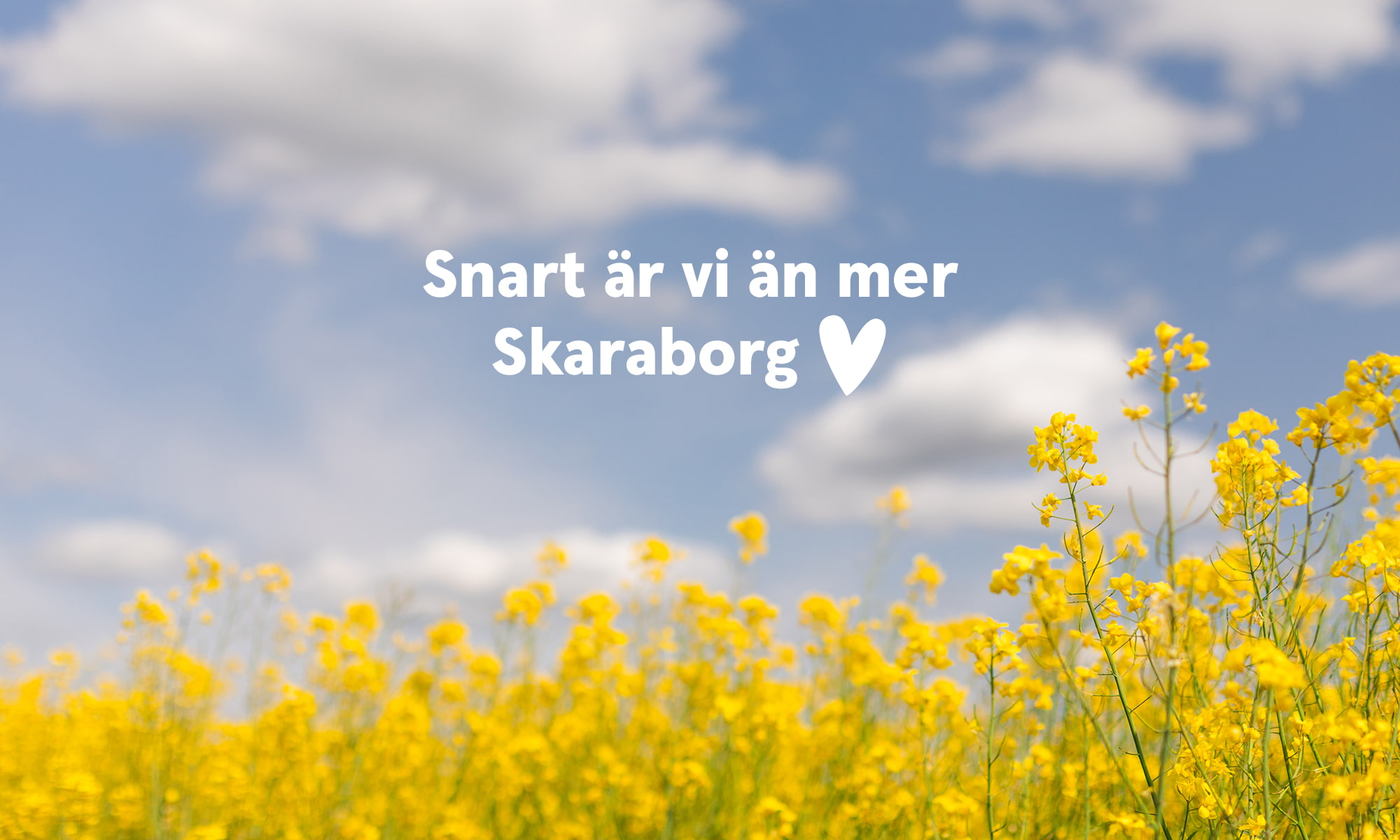 Nya kontor Mariestad och Falköping